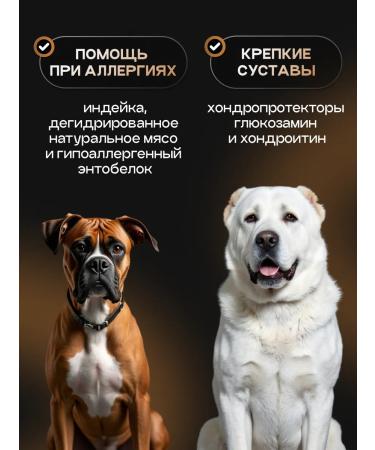 cosmodog Dry food for dogs 2 kg hypoallergenic with turkey - Buy Online on GoSupps.com