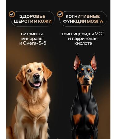 cosmodog Dry food for dogs 2 kg hypoallergenic with turkey - Buy Online on GoSupps.com
