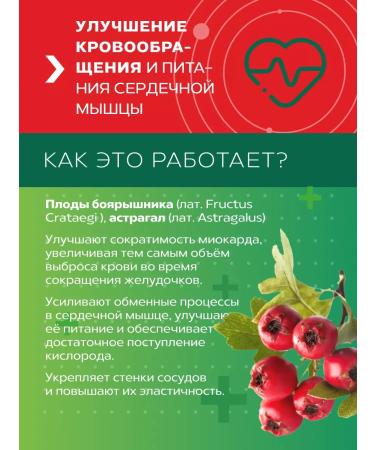 ALTAI NECTAR  - Buy Online on GoSupps.com