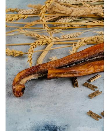 SHEPHERD TM Dog treating Bull root l 100 g - Buy Online on GoSupps.com