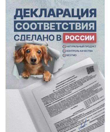 SHEPHERD TM Business Beeing (integral) treat for dogs 1000g - Buy Online on GoSupps.com