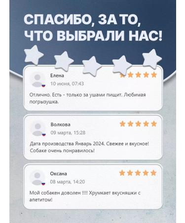 SHEPHERD TM Business Beeing (integral) treat for dogs 1000g - Buy Online on GoSupps.com