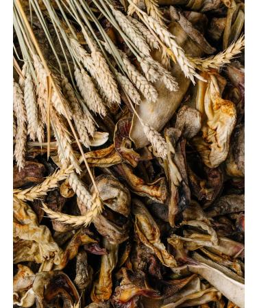 SHEPHERD TM Treat for dogs Ear beef assorted 1000g - Buy Online on GoSupps.com