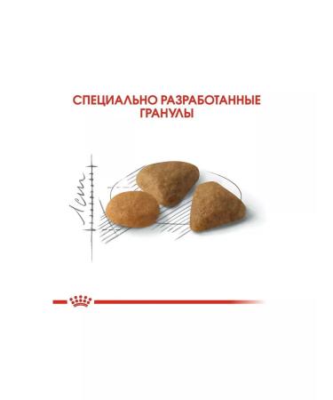 ROYAL CANIN Savour Exigent cat food 2 kg - Buy Online on GoSupps.com