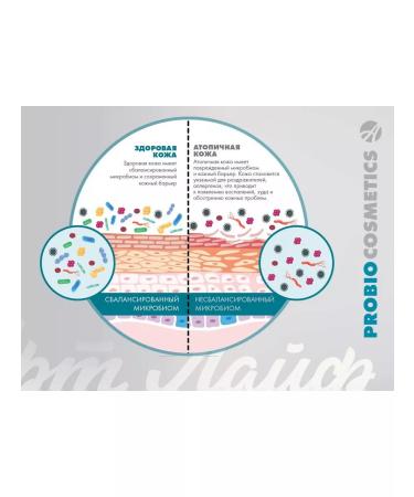 Art Life Fluid for the face cleansing probo - Buy Online on GoSupps.com