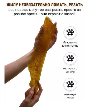 Canezeta The tendon beef is dried - Buy Online on GoSupps.com