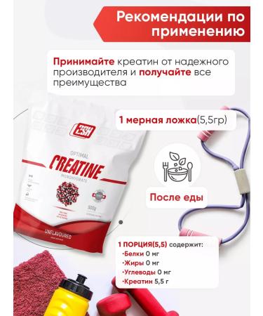 2SN Creatine Monohydrate Creatine MonohyDrate powder 500g - Buy Online on GoSupps.com