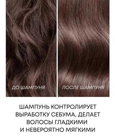 Daeng Gi Meo Ri Shampoo for dry and sensitive scalp 500 ml - Buy Online on GoSupps.com