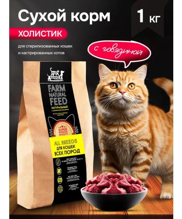 BUDDY DINNER Dry food for cats with beef 1 kg