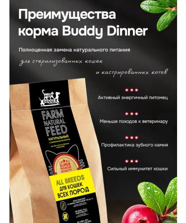 BUDDY DINNER Dry food for cats with beef 1 kg - Buy Online on GoSupps.com