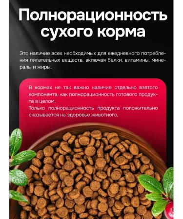 BUDDY DINNER Dry food for cats with beef 1 kg - Buy Online on GoSupps.com