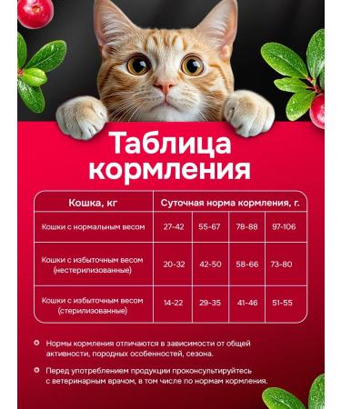 BUDDY DINNER Dry food for cats with beef 1 kg - Buy Online on GoSupps.com