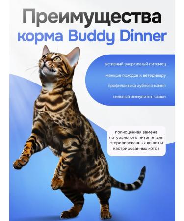 BUDDY DINNER Dry food for cats with salmon 3 kg - Buy Online on GoSupps.com