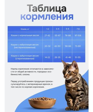 BUDDY DINNER Dry food for cats with salmon 3 kg - Buy Online on GoSupps.com