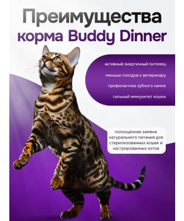 BUDDY DINNER Dry food for cats with turkey 1 kg - Buy Online on GoSupps.com