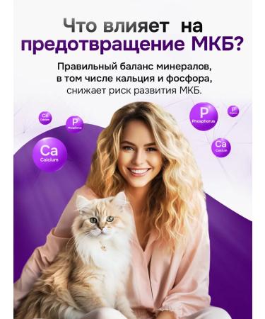 BUDDY DINNER Dry food for cats with turkey 1 kg - Buy Online on GoSupps.com