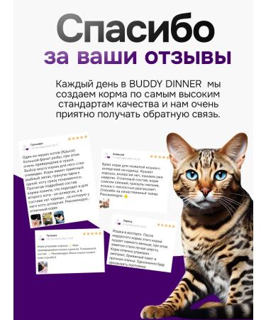 BUDDY DINNER Dry food for cats with turkey 1 kg - Buy Online on GoSupps.com
