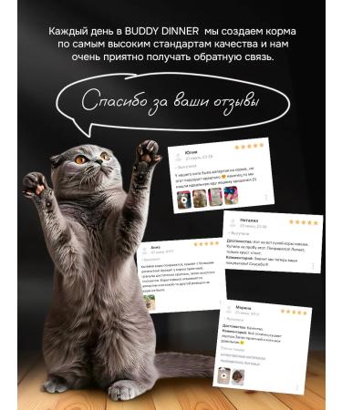 BUDDY DINNER Dry food for cats with beef 3 kg - Buy Online on GoSupps.com