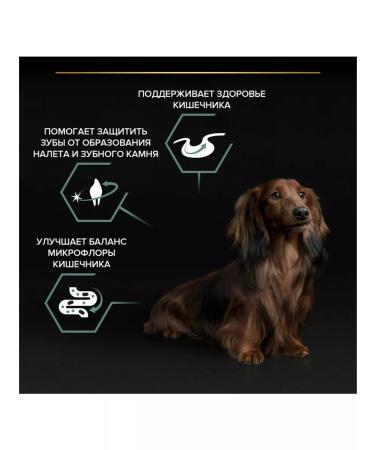 PRO PLAN Dry food for dogs small rocks 700 g - Buy Online on GoSupps.com