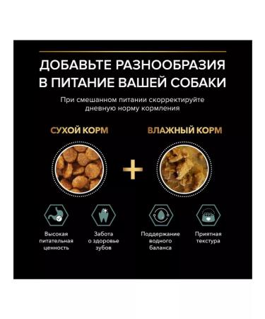 PRO PLAN Dry food for dogs small rocks 700 g - Buy Online on GoSupps.com