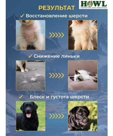 HOWL Fish oil for dogs and cats salmon oil 300 ml - Buy Online on GoSupps.com