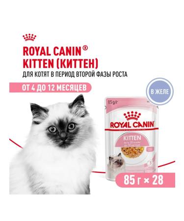 ROYAL CANIN Kitten Wet food (spider) for kittens in jelly 28 x 85 g - Buy Online on GoSupps.com