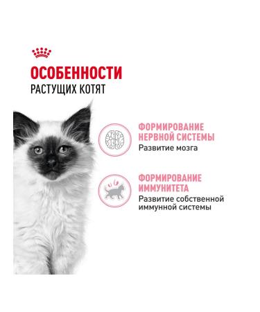 ROYAL CANIN Kitten Wet food (spider) for kittens in jelly 28 x 85 g - Buy Online on GoSupps.com