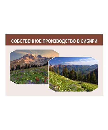 Master of the Taiga Sagan Dylya Green Herbal - Buy Online on GoSupps.com