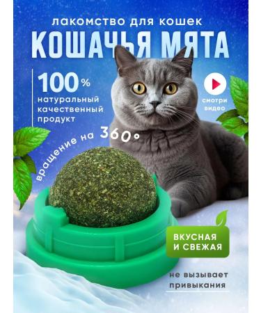 NSI Store Cotton Cat Mint Ball toy toy