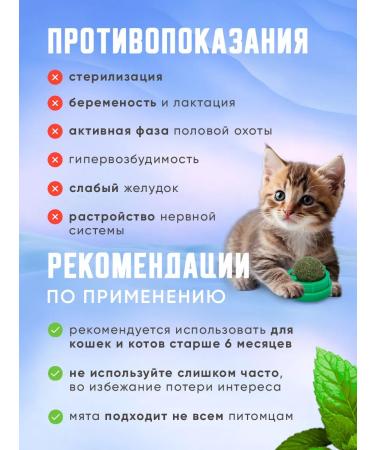 NSI Store Cotton Cat Mint Ball toy toy - Buy Online on GoSupps.com