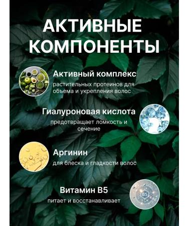 Alluri Salusfantic shampoo for female hair and balm - Buy Online on GoSupps.com