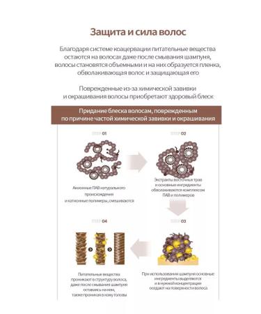 Atomy Atomi Herbal Shampoo for all hair types 500 ml - Buy Online on GoSupps.com