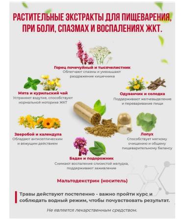 fitomir For stomach and intestines from heartburn - Buy Online on GoSupps.com