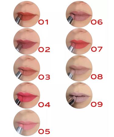 SHINEWELL Lipstick moisturizing tone 07 - Buy Online on GoSupps.com
