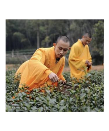 Choleretic Tibetan tea 20 bags - Buy Online on GoSupps.com