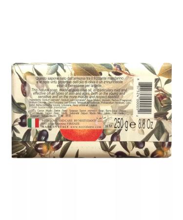 Nesti Dante Soap olive oil and tangerine 250 g - Buy Online on GoSupps.com
