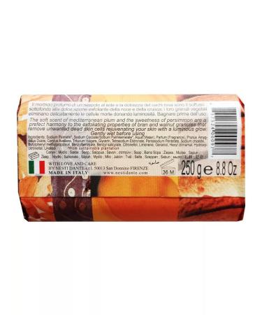 Nesti Dante Soap scrub 250 g - Buy Online on GoSupps.com