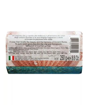 Nesti Dante Soap thermal springs 250 g - Buy Online on GoSupps.com