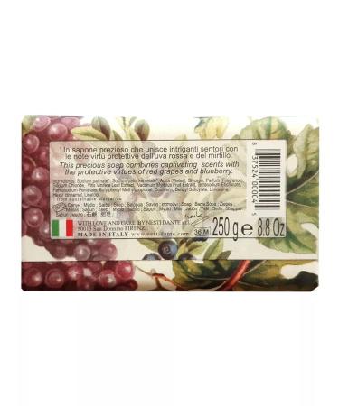 Nesti Dante Soap red grapes and blueberries 250 g - Buy Online on GoSupps.com