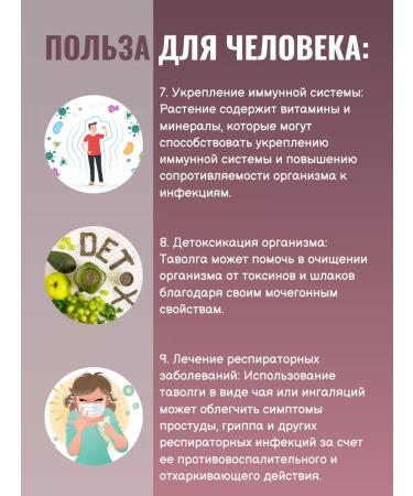 MELISSA K Tulle Labaznik grass - Buy Online on GoSupps.com