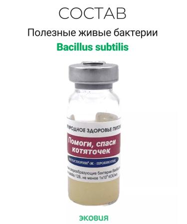 Vetosporin G Probiotic for kittens help save the kittens - Buy Online on GoSupps.com