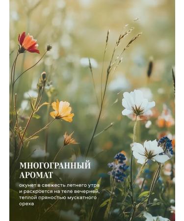 Grandma Agafia's Recipes Batter cream for nutritional moisturizer muscat oil - Buy Online on GoSupps.com