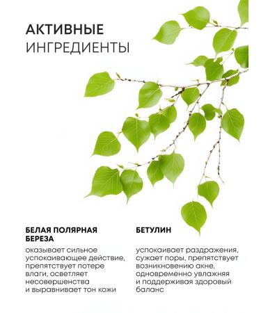 Natura Siberica Facial tonic cleansing with bereza acids - Buy Online on GoSupps.com