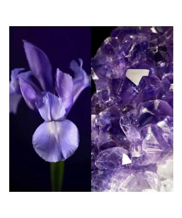 Oriflame Bushing day cream SPF 20 - Buy Online on GoSupps.com