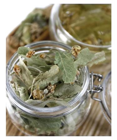 Grow Up Tea drink 50 g Linden 50 g - flowers are dry whole floral tea