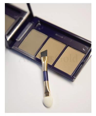 ffleur Shadows for eyebrows and century compact matte No. 3. 3 colors + brush - Buy Online on GoSupps.com