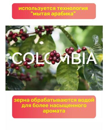 Cafe Esmeralda Gold coffee - Buy Online on GoSupps.com