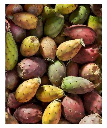 TADE Organic Body Milk with Prickly Pear Extract and Fig Scent "Figuier de Carthage" 250ml - Buy Online on GoSupps.com