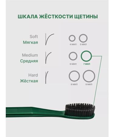 PRESIDENT Middle Classic 2 pcs - Buy Online on GoSupps.com