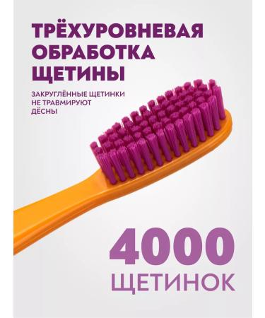 PRESIDENT Middle denture Exclusive 2 pcs - Buy Online on GoSupps.com